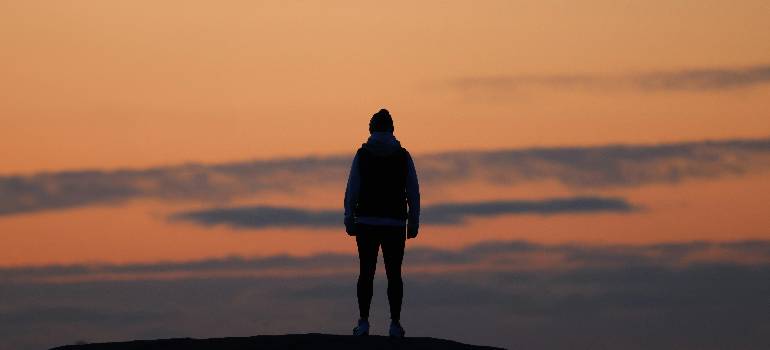 Sunset silhouette