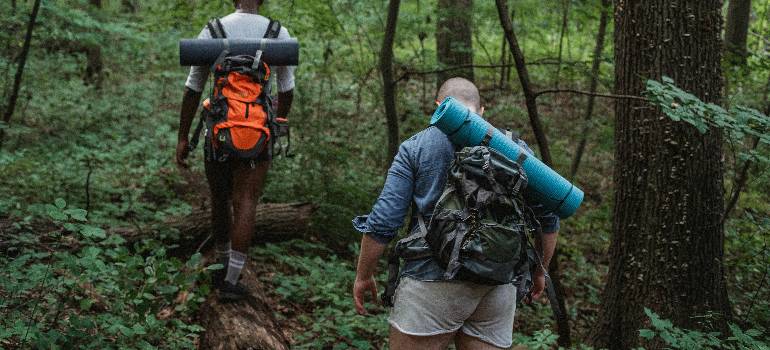 Hikers explore a wooded trail with camping gear
