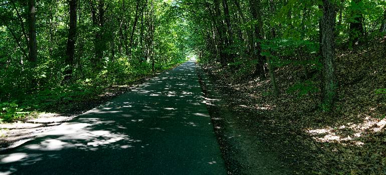 Shaded forest path offers a peaceful daily walk